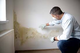 Mold Remediation for Vacation Homes in Frenchtown, NJ